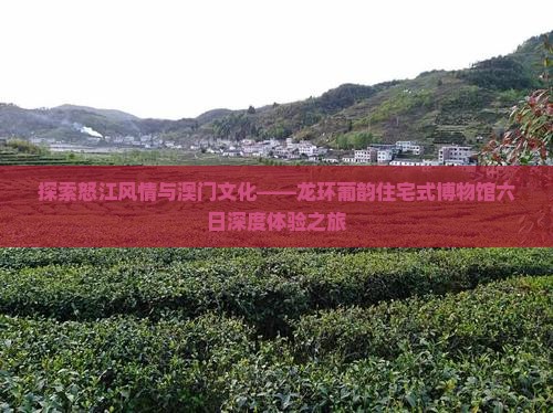探索怒江风情与澳门文化——龙环葡韵住宅式博物馆六日深度体验之旅