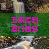 五家渠到澳门路环岛一日游