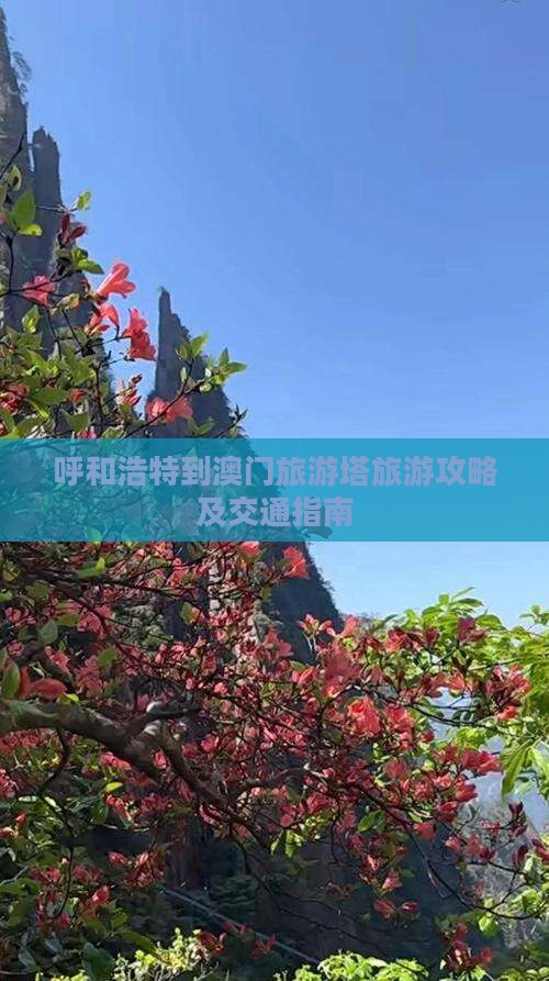 呼和浩特到澳门旅游塔旅游攻略及交通指南