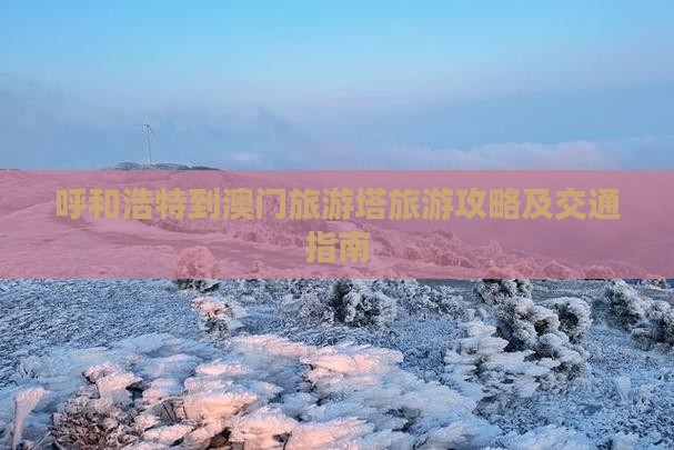 呼和浩特到澳门旅游塔旅游攻略及交通指南