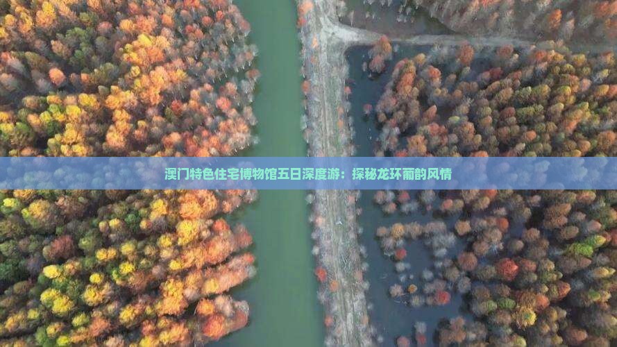 澳门特色住宅博物馆五日深度游：探秘龙环葡韵风情