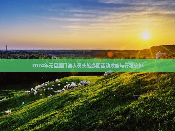 2024年元旦澳门渔人码头旅游团活动攻略与行程安排