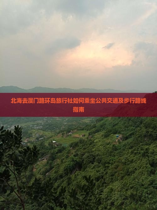北海去澳门路环岛旅行社如何乘坐公共交通及步行路线指南