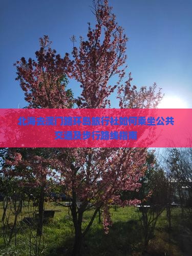 北海去澳门路环岛旅行社如何乘坐公共交通及步行路线指南