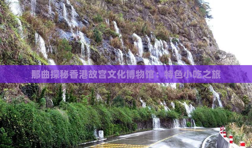 那曲探秘香港故宫文化博物馆：特色小吃之旅