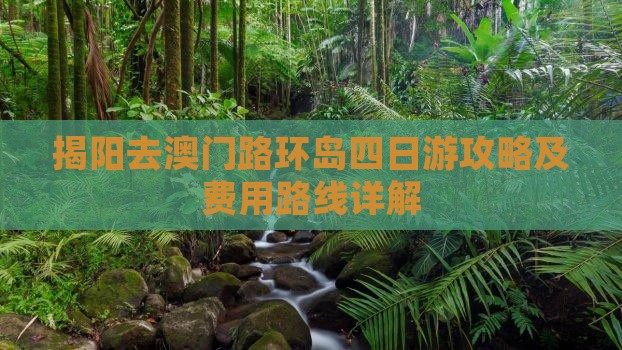 揭阳去澳门路环岛四日游攻略及费用路线详解