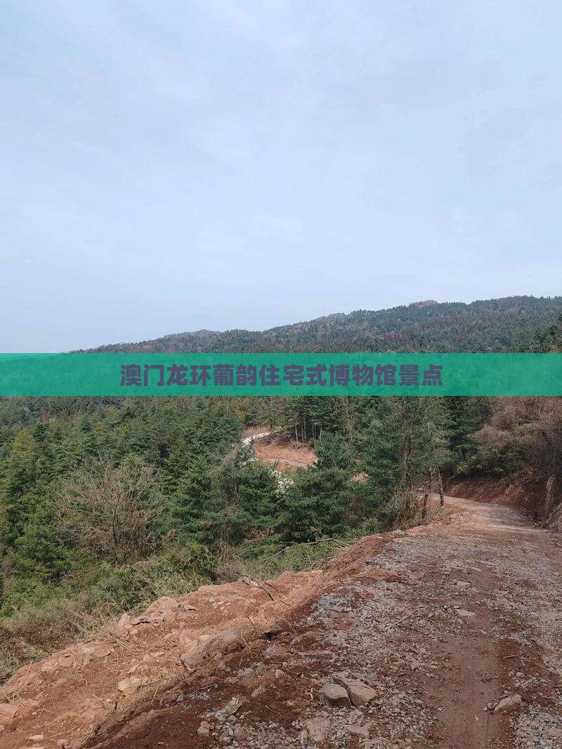 澳门龙环葡韵住宅式博物馆景点