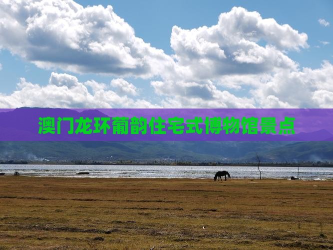 澳门龙环葡韵住宅式博物馆景点