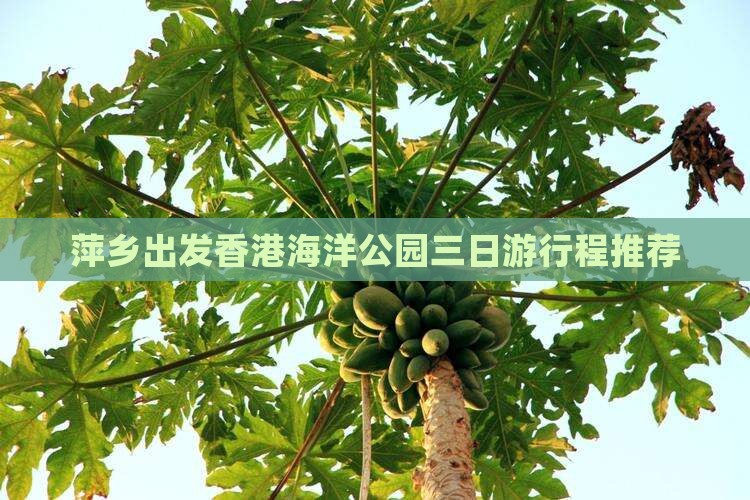 萍乡出发香港海洋公园三日游行程推荐
