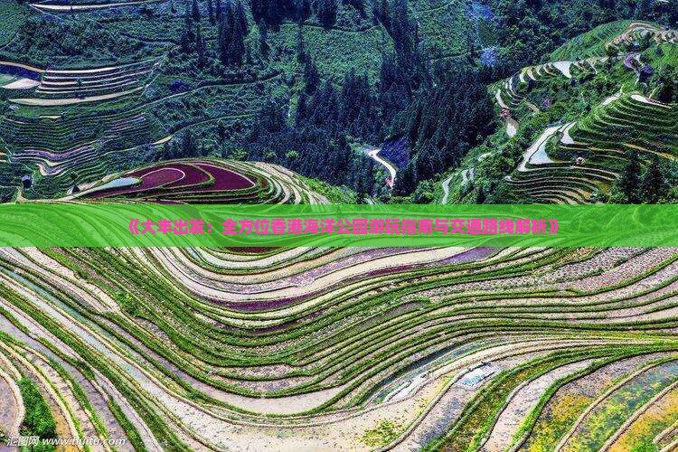 《大丰出发：全方位香港海洋公园游玩指南与交通路线解析》