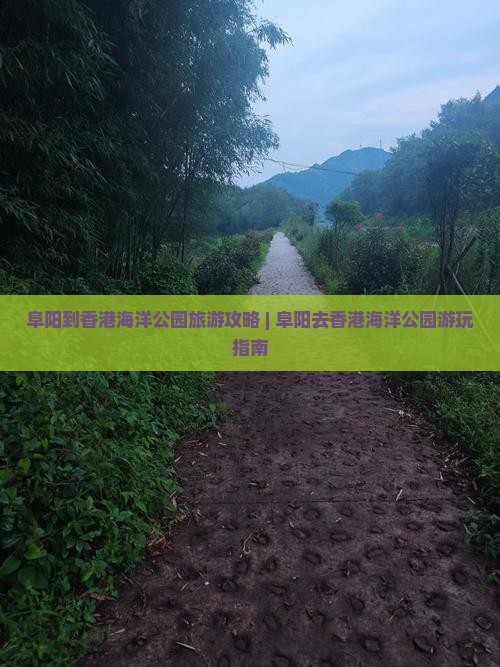 阜阳到香港海洋公园旅游攻略 | 阜阳去香港海洋公园游玩指南