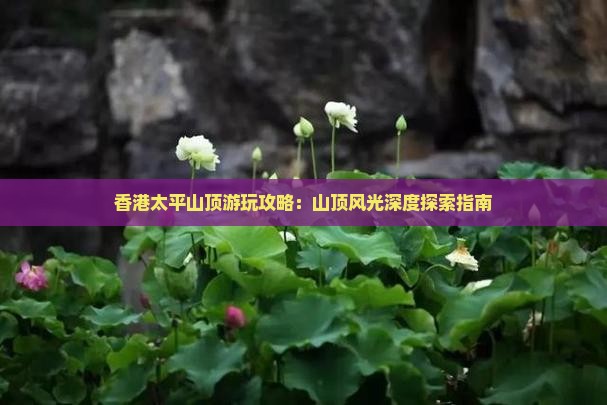 香港太平山顶游玩攻略：山顶风光深度探索指南