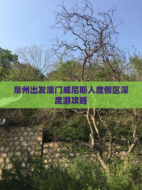 泉州出发澳门威尼斯人度假区深度游攻略