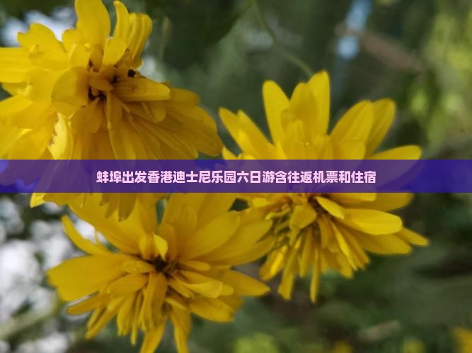 蚌埠出发香港迪士尼乐园六日游含往返机票和住宿