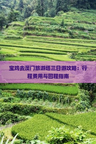 宝鸡去澳门旅游塔三日游攻略：行程费用与回程指南