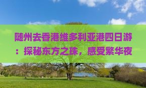 随州去香港维多利亚港四日游：探秘东方之珠，感受繁华夜景与美食之旅