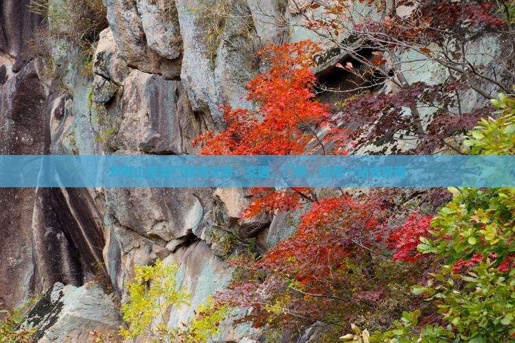 双鸭山至澳门旅游攻略：交通、门票、住宿一站式指南