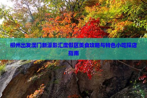 柳州出发澳门新濠影汇度假区美食攻略与特色小吃探店指南