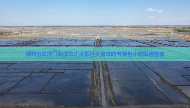 柳州出发澳门新濠影汇度假区美食攻略与特色小吃探店指南