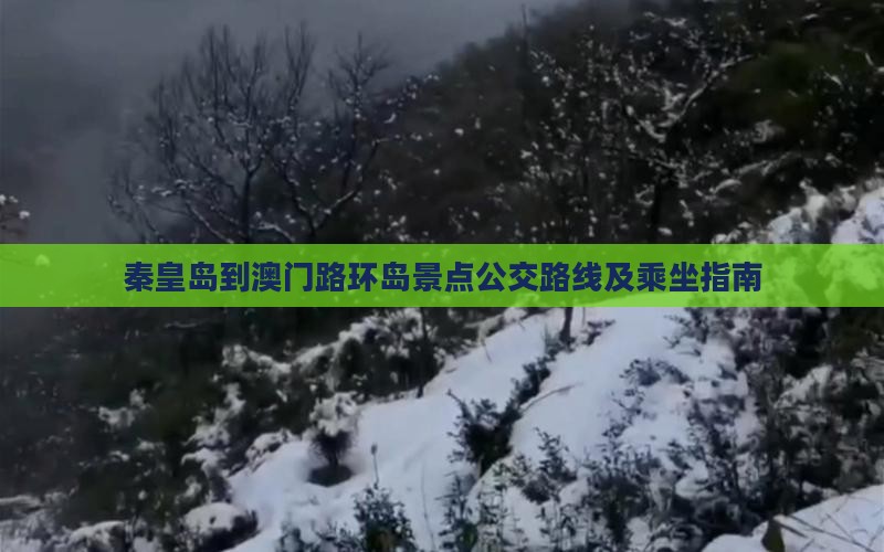 秦皇岛到澳门路环岛景点公交路线及乘坐指南