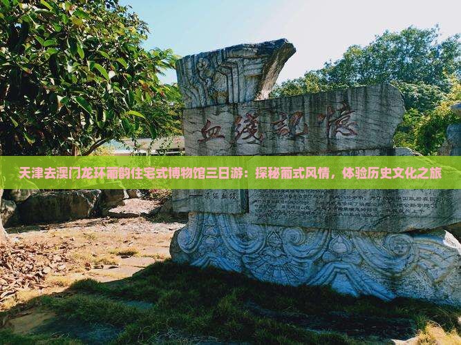 天津去澳门龙环葡韵住宅式博物馆三日游：探秘葡式风情，体验历史文化之旅