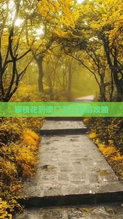 攀枝花到澳门五日旅游攻略