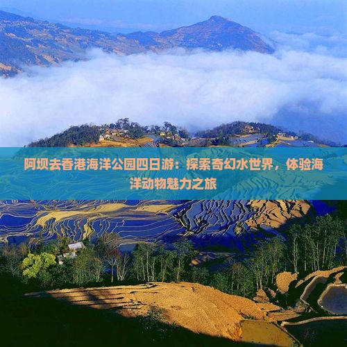 阿坝去香港海洋公园四日游：探索奇幻水世界，体验海洋动物魅力之旅