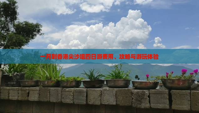 一月到香港尖沙咀四日游费用、攻略与游玩体验