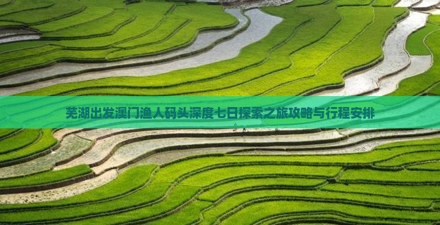 芜湖出发澳门渔人码头深度七日探索之旅攻略与行程安排