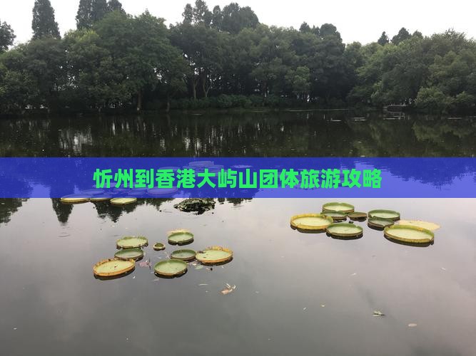 忻州到香港大屿山团体旅游攻略