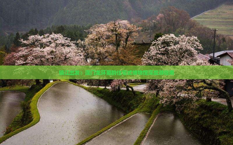 镇江出发：澳门龙环葡韵住宅式博物馆深度游指南