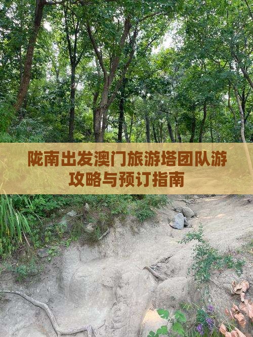 陇南出发澳门旅游塔团队游攻略与预订指南