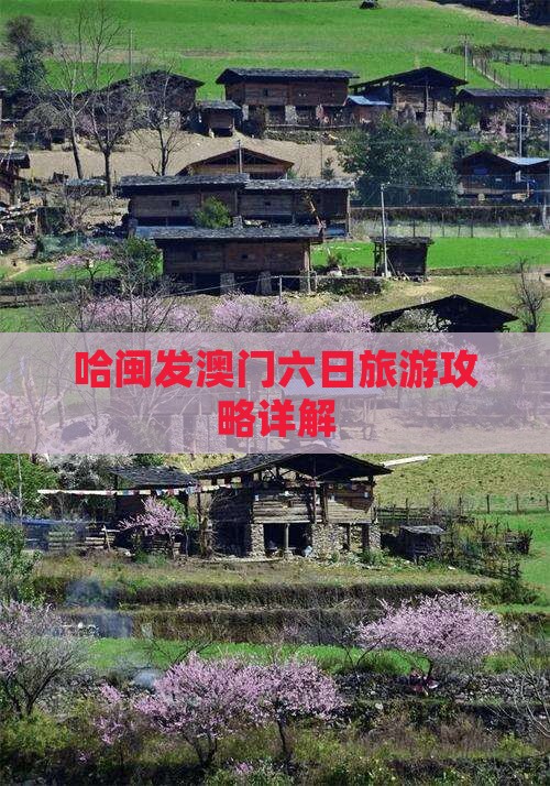 哈闽发澳门六日旅游攻略详解