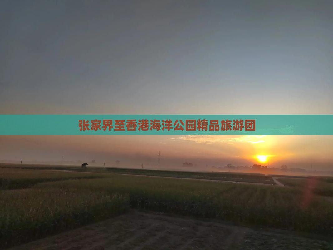张家界至香港海洋公园精品旅游团