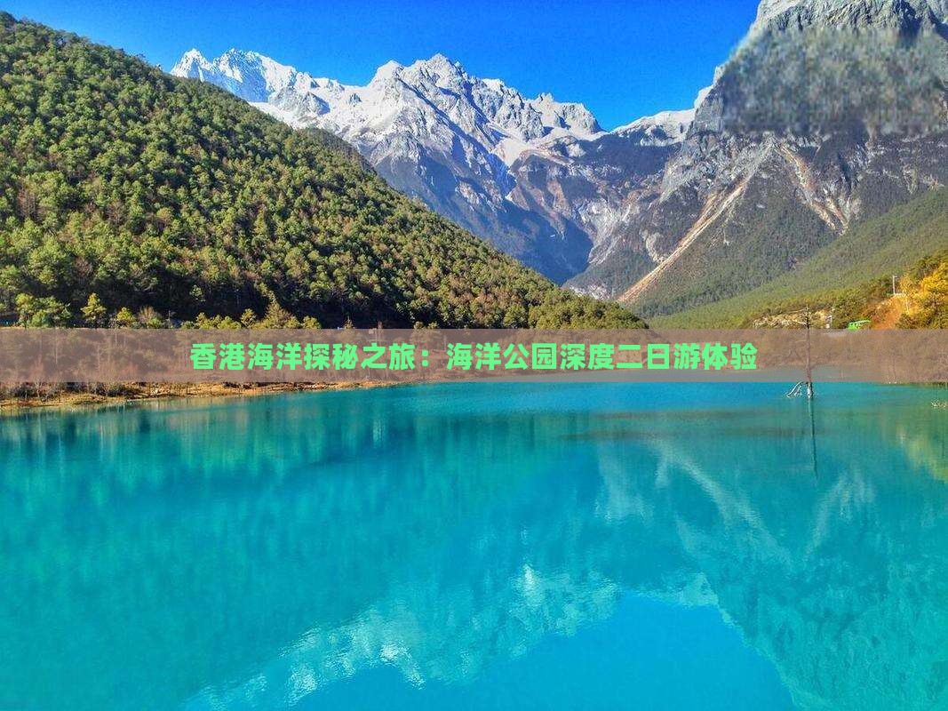 香港海洋探秘之旅：海洋公园深度二日游体验