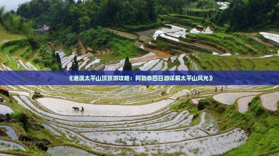 《港澳太平山顶旅游攻略：阿勒泰四日游详解太平山风光》