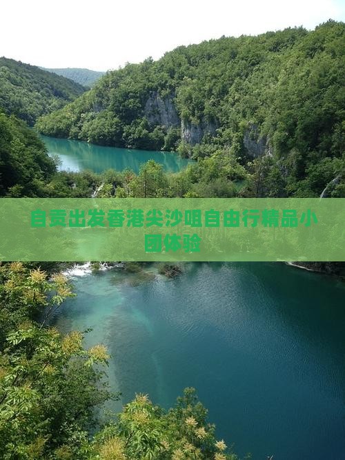 自贡出发香港尖沙咀自由行精品小团体验
