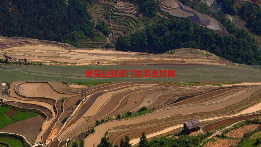 武夷山到澳门旅游全攻略