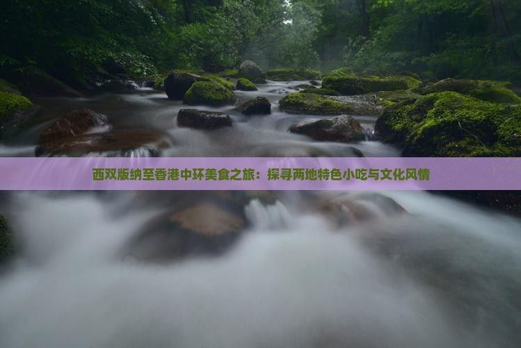 西双版纳至香港中环美食之旅：探寻两地特色小吃与文化风情