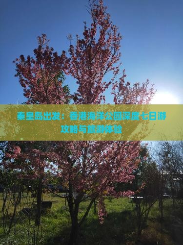秦皇岛出发：香港海洋公园深度七日游攻略与旅游体验