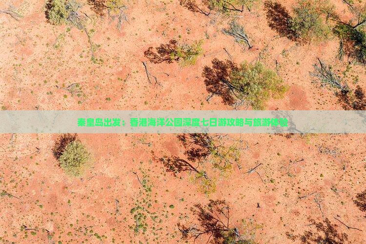 秦皇岛出发：香港海洋公园深度七日游攻略与旅游体验
