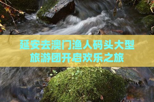 延安去澳门渔人码头大型旅游团开启欢乐之旅