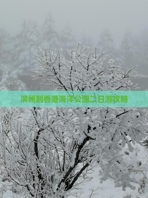 滨州到香港海洋公园二日游攻略