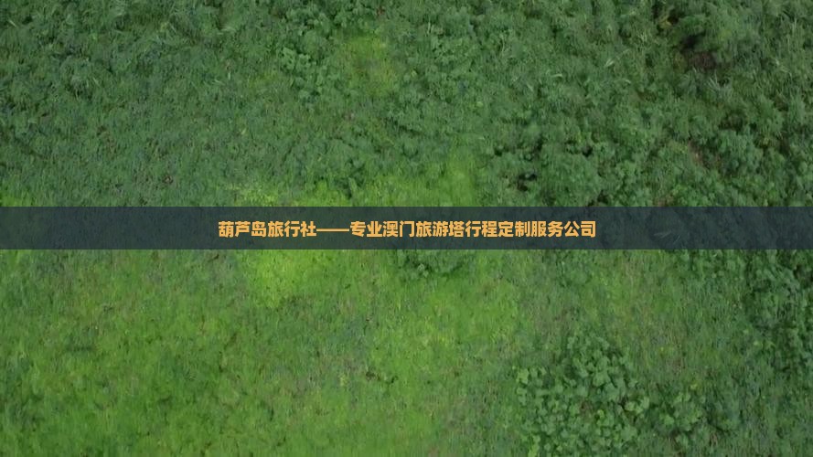 葫芦岛旅行社——专业澳门旅游塔行程定制服务公司