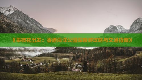 《攀枝花出发：香港海洋公园深度游攻略与交通指南》