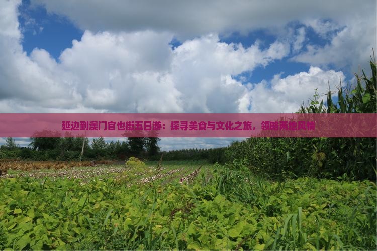 延边到澳门官也街五日游：探寻美食与文化之旅，领略两地风情
