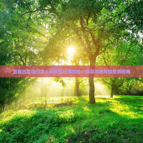 宜春出发澳门渔人码头四日游攻略：探寻海港风情旅游指南