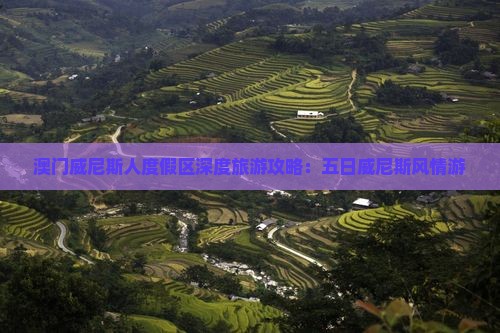 澳门威尼斯人度假区深度旅游攻略：五日威尼斯风情游