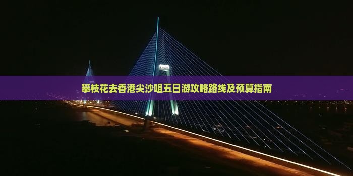 攀枝花去香港尖沙咀五日游攻略路线及预算指南