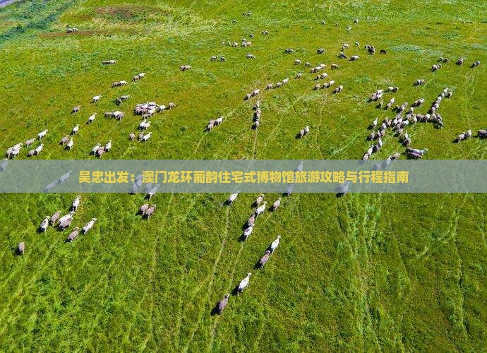 吴忠出发：澳门龙环葡韵住宅式博物馆旅游攻略与行程指南